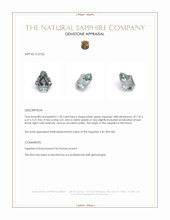 Jewelry Appraisal