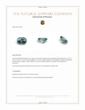 Jewelry Appraisal