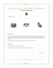 1.41 Ct. Bluish Green Sapphire from Montana Appraisal