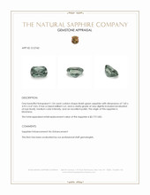 Jewelry Appraisal