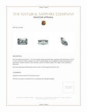 Jewelry Appraisal