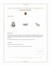Jewelry Appraisal