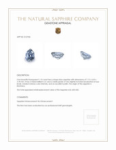 Jewelry Appraisal