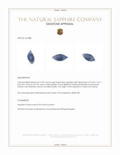 15.59 Ct. Blue Rough Sapphire from Ceylon (Sri Lanka) Appraisal