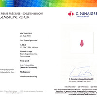 Jewelry Scan Report