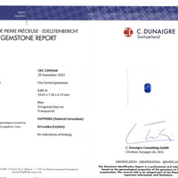 5.01 Ct. Blue Sapphire from Ceylon (Sri Lanka) Scan Report