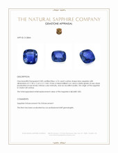 6.76 Ct. Blue Sapphire from Ceylon (Sri Lanka) Appraisal