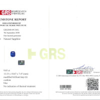 9.03 Ct. Blue Sapphire from Ceylon (Sri Lanka) Scan Report