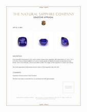 3.05 Ct. Blue Sapphire from Ceylon (Sri Lanka) Appraisal