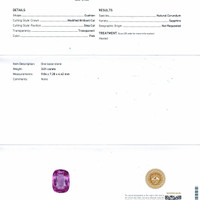 Jewelry Scan Report