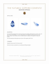 0.54 Ct. Blue Sapphire from Ceylon (Sri Lanka) Appraisal