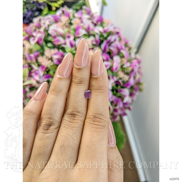 0.52 Ct. Purple Sapphire from Ceylon (Sri Lanka)