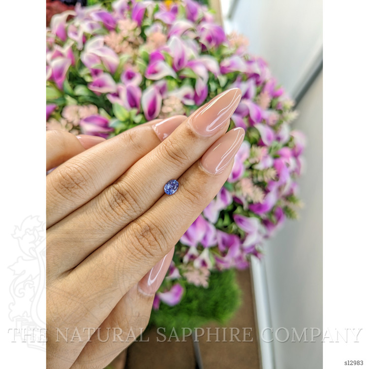 0.52 Ct. Violet Sapphire from Ceylon (Sri Lanka)