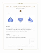 0.69 Ct. Blue Sapphire from Ceylon (Sri Lanka) Appraisal
