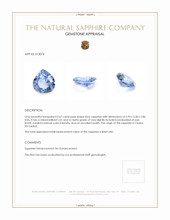 0.67 Ct. Sapphire from Ceylon (Sri Lanka) Appraisal