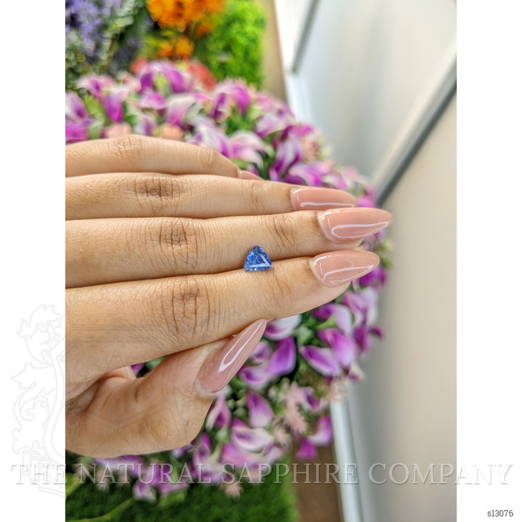 1.02 Ct. Blue Sapphire from Ceylon (Sri Lanka)