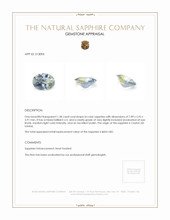 Jewelry Appraisal
