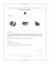 0.97 Ct. Bi Color Sapphire from Ceylon (Sri Lanka) Appraisal