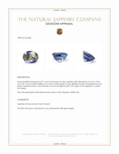 0.97 Ct. Bi Color Sapphire from Ceylon (Sri Lanka) Appraisal