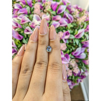 1.84 Ct. Bi Color Sapphire from Ceylon (Sri Lanka) Life Style