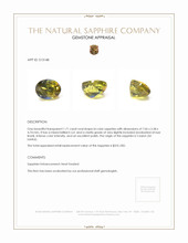 Jewelry Appraisal