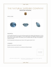 4.46 Ct. Greenish Blue Sapphire from Ceylon (Sri Lanka) Appraisal