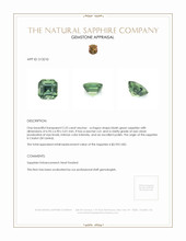 Jewelry Appraisal