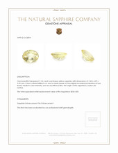 Jewelry Appraisal