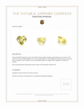 1.05 Ct. Yellow Sapphire from Ceylon (Sri Lanka) Appraisal