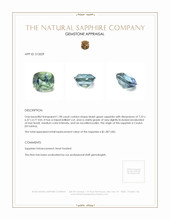Jewelry Appraisal