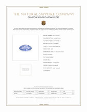 Jewelry Scan Report