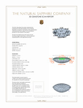 Jewelry 3 D Scan Report