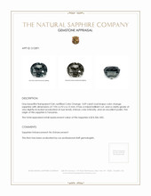 3.09 Ct. Sapphire from Tanzania Appraisal