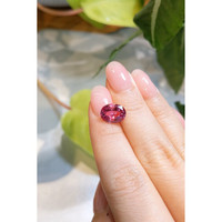 3.05 Ct. Padparadscha Sapphire from Madagascar Life Style
