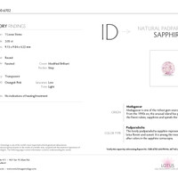 Jewelry Scan Report