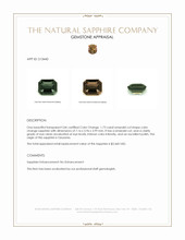 Jewelry Appraisal