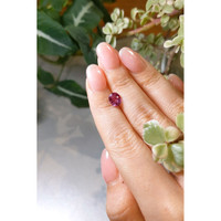 1.65 Ct. Reddish Pink Sapphire from Ceylon (Sri Lanka) Life Style
