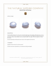 12.18 Ct. Bluish Grey Star Sapphire from Ceylon (Sri Lanka) Appraisal