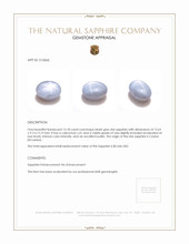 12.18 Ct. Bluish Grey Star Sapphire from Ceylon (Sri Lanka) Appraisal