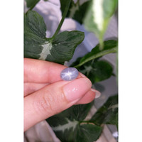 11.86 Ct. Blue Star Sapphire from Ceylon (Sri Lanka) Life Style
