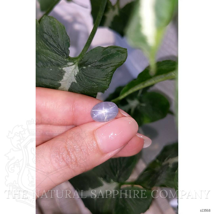 11.86 Ct. Blue Star Sapphire from Ceylon (Sri Lanka)