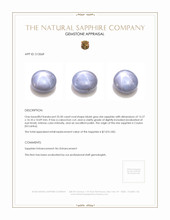 25.50 Ct. Bluish Grey Star Sapphire from Ceylon (Sri Lanka) Appraisal