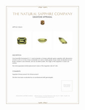 Jewelry Appraisal