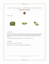 Jewelry Appraisal