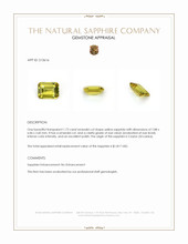 Jewelry Appraisal