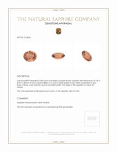 3.08 Ct. Orangish Brown Sapphire from Ceylon (Sri Lanka) Appraisal