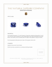 Jewelry Appraisal