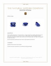 Jewelry Appraisal