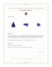 1.11 Ct. Sapphire from Ceylon (Sri Lanka) Appraisal