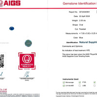 Jewelry Scan Report